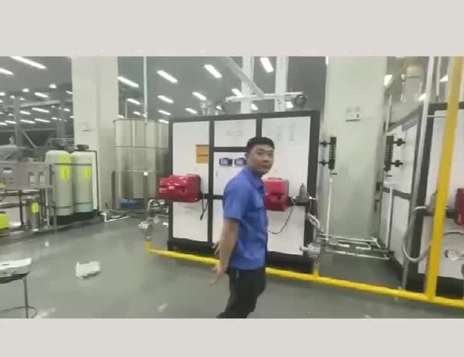 河北霸州做堅(jiān)果零食、飲料客戶(hù)用2臺(tái)1噸燃?xì)庹羝l(fā)生器配套殺菌鍋、烘干線(xiàn)安裝完成